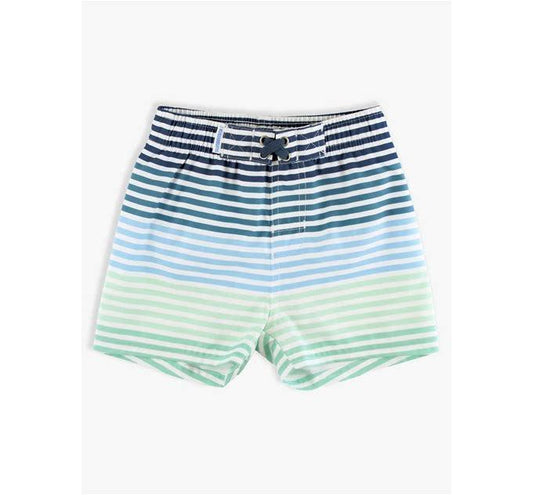 Swim Trunks - Costal Stripe