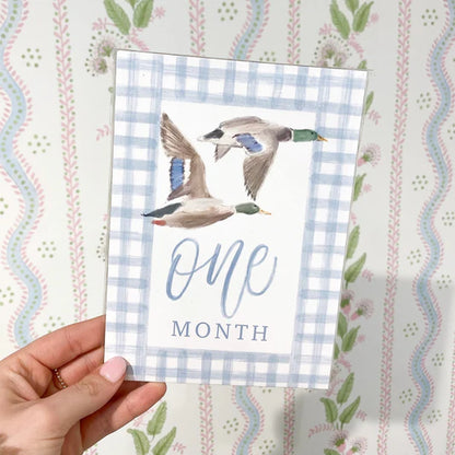 Flyin' South Milestone Cards