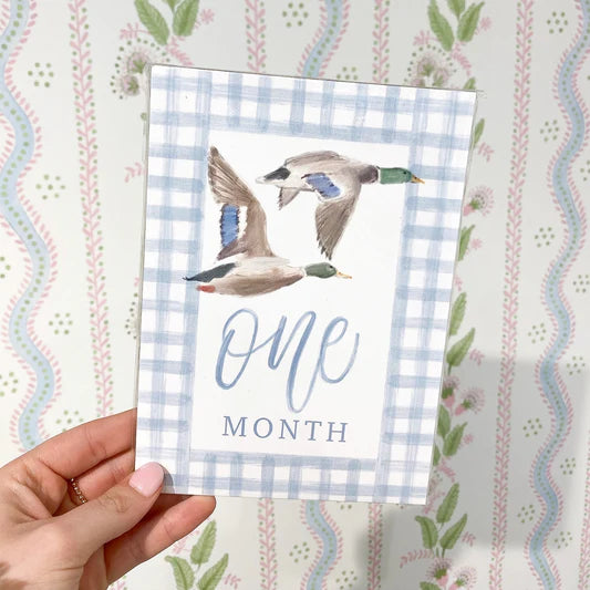 Flyin' South Milestone Cards