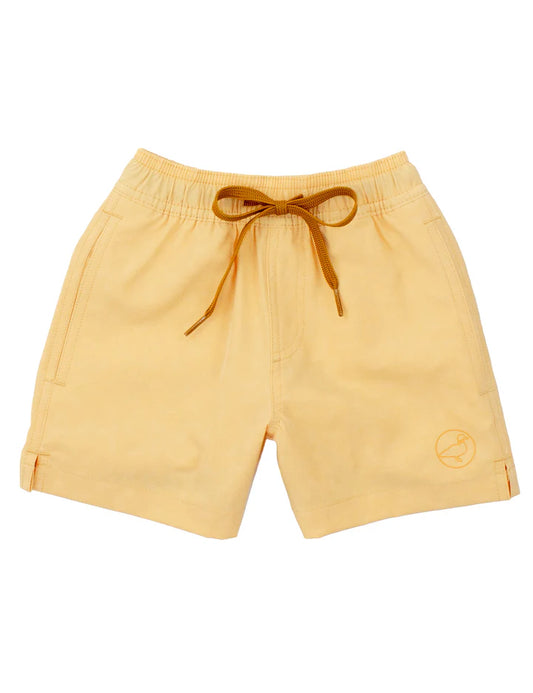 Boys Splash Swim Dogs